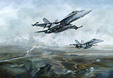 F-18 Hornet Special Gallery